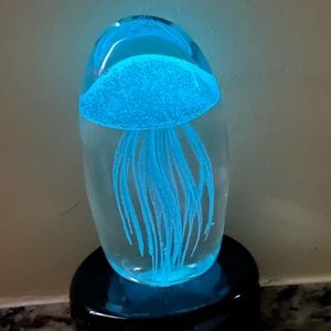 Large Jelly Fish Encased in Glass With LED Display Stand